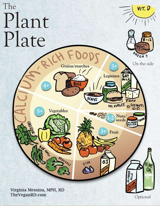 4 Basic Food Groups Chart