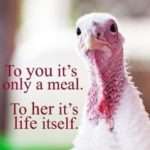 Good Stories and Good Food for Vegan Thanksgiving Activism