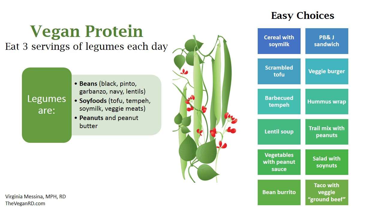 Proteinas diarias